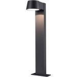 D'Lite Illuminazione da giardino Lira Nero 7W 600lm 830 Luce Calda -  | IP54 