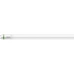 Philips MASTER LED Tube T8 (EM/Mains) Ultra Efficiency 11.9W 2500lm - 865 Luce Del Giorno | 120cm - Sostitutiva 36W